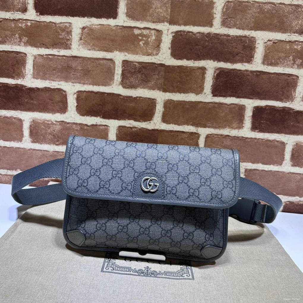 Hyperpeter GG OPHIDIA BAG SMALL BELT GUCCI 0817